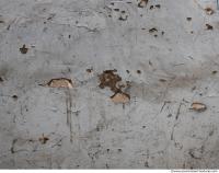 Walls Plaster 0044